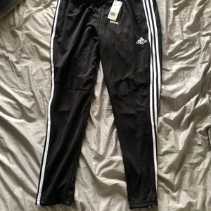 Adidas Trio 19 training pant
